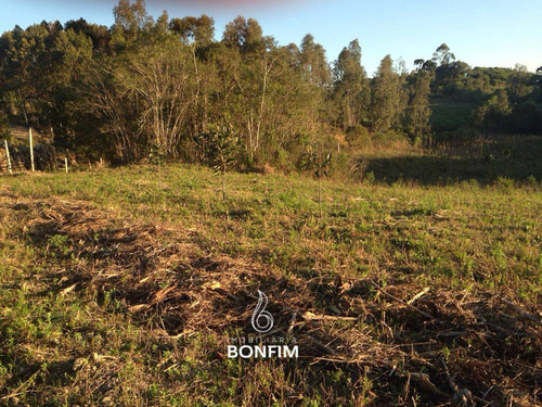 Imagem 8 de 12 de Terreno À Venda Com 20000m² Por R$ 490.000,00 - Mandirituba / Pr - Te0252