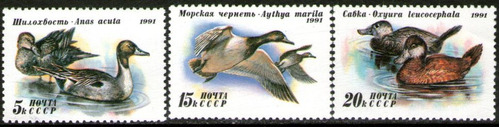 Rusia Serie X 3 Sellos Nuevos Aves = Patos Salvajes Año 1991