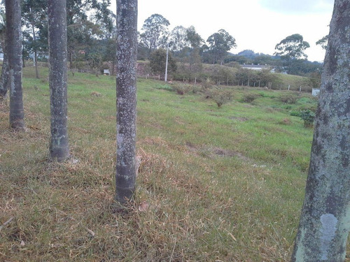 Imagem 1 de 3 de Terreno À Venda Em Chácaras São Bento - Te254237