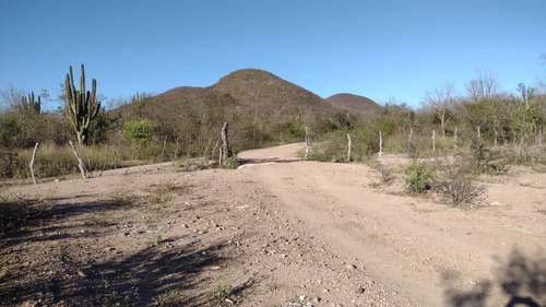 Terreno En Venta Sinaloa, Sinaloa