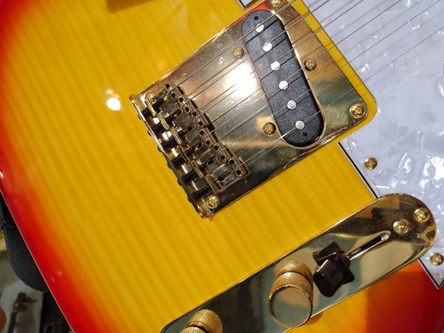 Guitarra Electrica Telecaster Custom Jay Turser Mm