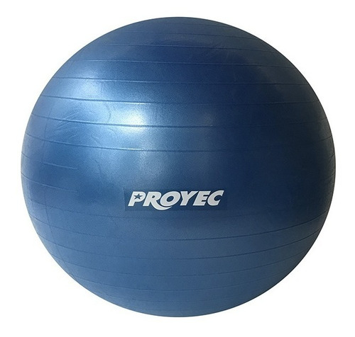 Pelota Yoga Esferodinamia Suiza 85 Cm Gym Fit Ball Importada