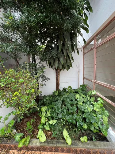 Venta Casa En Letrán Valle