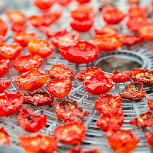 Imagen 8 de 9 de Maquina Deshidratadora De Alimentos