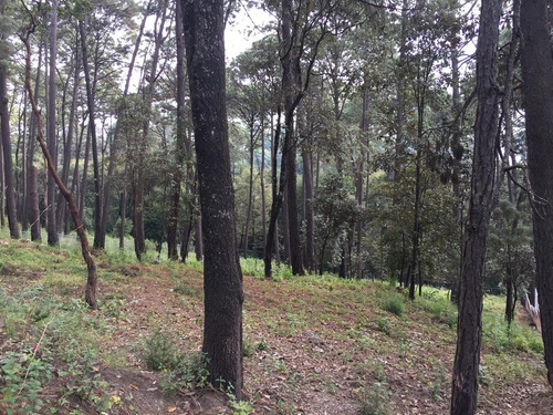 Imagen 2 de 7 de Tva150 Terreno En Venta