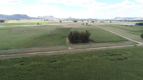 Imagen 23 de 30 de Quinta De 8 Has. A 1.800 Mts Ruta 226 - 100 % Agrícola