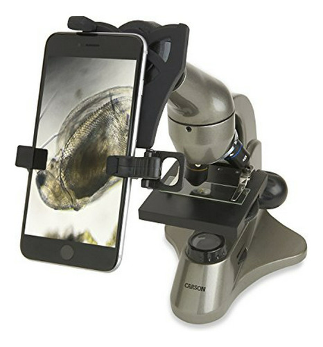 Carson Principiante 40x-400x Compuesto Student Microscopio C