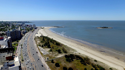 Venta Monoambiente Con Terraza A Estrenar Malvin