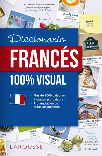Libro: Diccionario De Francés 100% Visual. Vv.aa.. Larousse