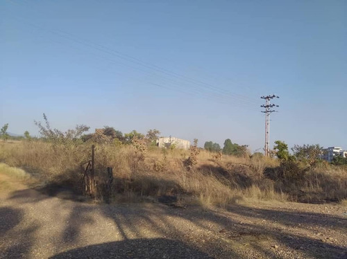 Fany Villasmil Vende Terreno En Cojedes Sector Cascabel