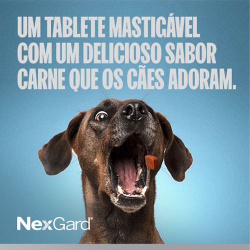 Antipulgas E Carrapatos Nexgard 4 A 10 Kg 3 Comprimidos