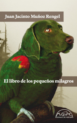 Libro El Libro De Los Pequeños Milagros