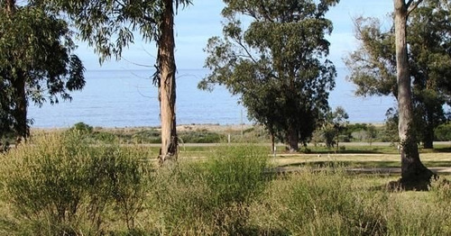 Terreno En Venta En Polo Club