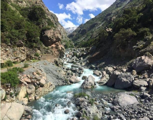 Los Queñes Cordillera Río Teno Reserva Ecológica 4.700 Hás.