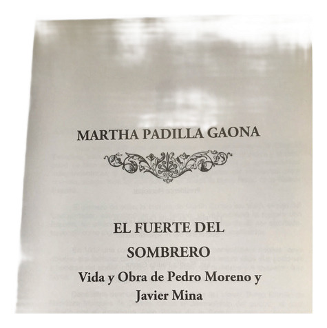Fuerte Del Sombrero, Pedro Moreno Y Javier Mina, León, Gto. (Usado)