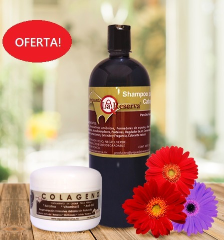 Kit Shampoo Y Colageno Yeguada La Reserva Original