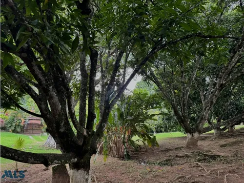 Finca Independiente En V. La Miranda Con Excelente...(mls#252449)