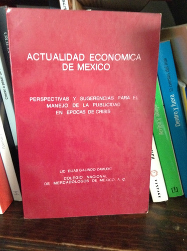 Actualidad Económica México E Galindo Colegio Mercadólogos