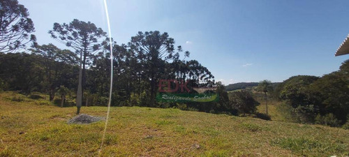 Imagem 4 de 9 de Chácara Com 1 Dormitório À Venda, 400 M² Por R$ 70.000,00 - Zona Rural - São Luiz Do Paraitinga/sp - Ch0265