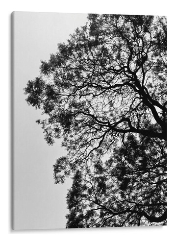 Canvas Lab Cuadro Ramales Ii, Blanco Y Negro 90x120