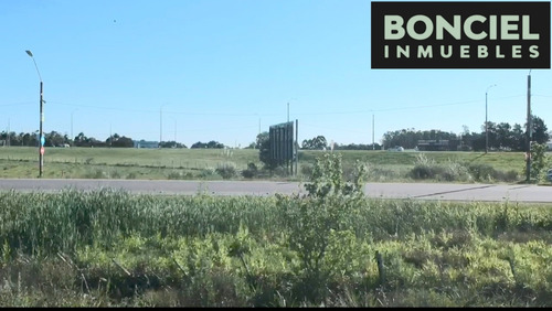 Muy Buen Terreno Logístico Ruta 5 K32 En Plena Rotonda