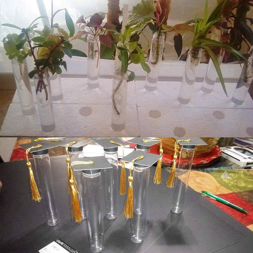 Tubo De Plástico Crystally-45 Piezas De 110 Ml, Tubos Planos