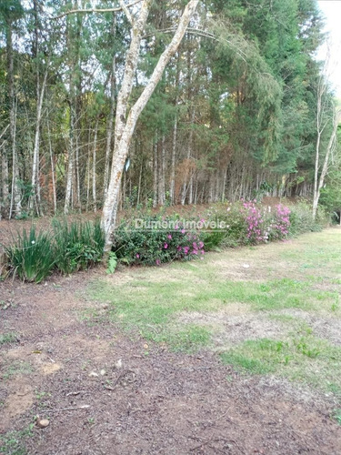 Imagem 12 de 13 de Chácara Encantadora Em Ibiúna Sp.cód 353.