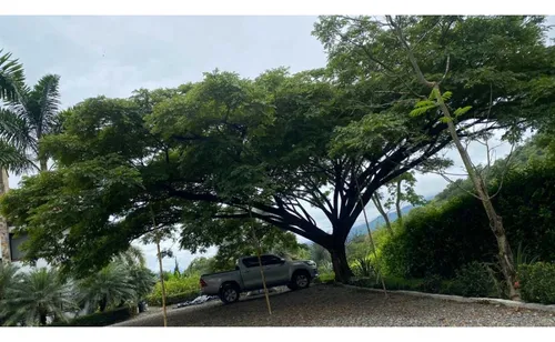 Finca En Venta , En San Jerónimo , Antioquia , Colombia.