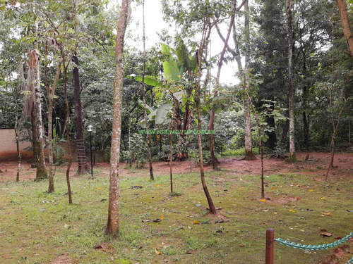 Imagem 12 de 18 de Apartamento À Venda No Horto Do Ypê - Ap00182 - 70459721