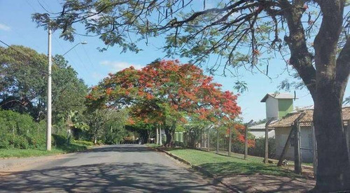 Chácara Com 4 Dormitórios À Venda, 1865 M² Condomínio Terras De Itaici - Indaiatuba/sp - Ch0170