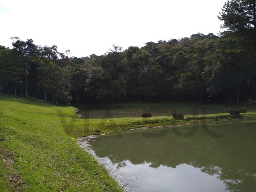 Imagem 5 de 30 de Sabe Aquele Lugar Ideal Para Quem Gosta De Pescar, Reunir A Família E Ter Conforto, Este Sítio Tem Infraestrutura Completa Para Moradia E Lazer. - 400 - 34598665