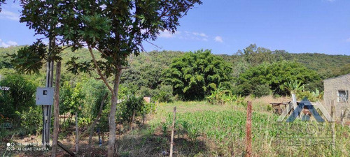 Imagem 7 de 30 de Chácara À Venda, 3000 M² Por R$ 220.000,00 - Rural - Ibiporã/pr - Ch0198