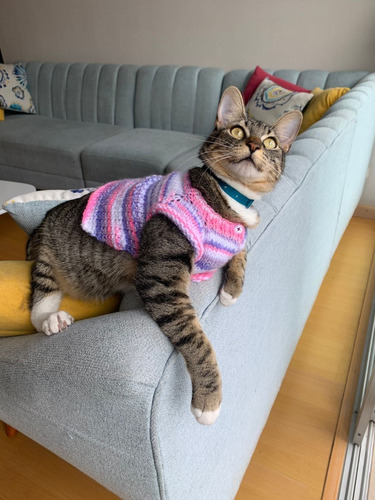 Chompa De Lana Para Gato Hecha A Mano