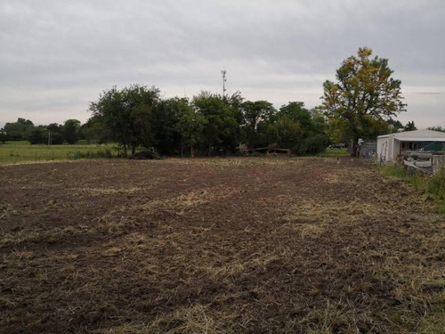 Imagen 10 de 10 de Rincon De Nogoya - Terreno Sobre Ruta De 2.000 M2
