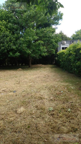 Imagen 4 de 5 de Terreno En Venta- Villa Parque Sicardi