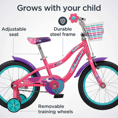 Bicicleta Infantil Con Ruedas De Entrenamiento 16 Pulgadas