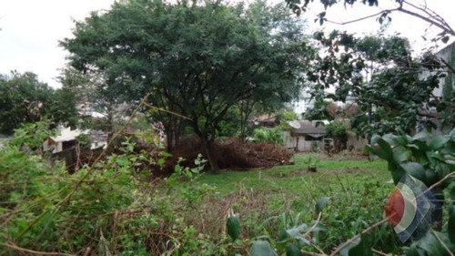 Imagem 3 de 4 de Terreno - Cristal - Ref: 4334 - V-4334