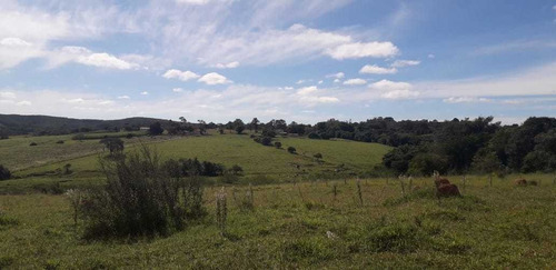 Imagem 3 de 14 de A/a Lotes Com Acesso Fácil À Sorocaba