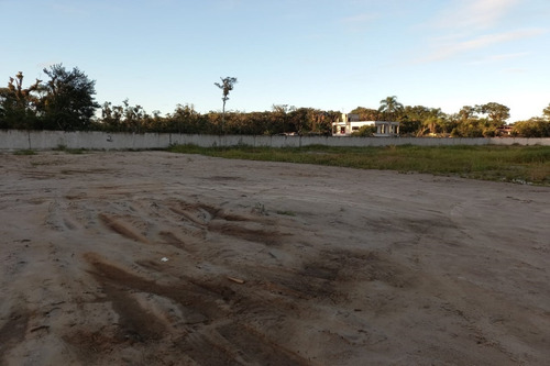 Imagem 13 de 14 de Terreno - 1547t - 69232909