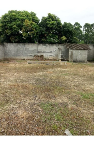 Imagem 4 de 9 de Terreno - Mina Do Mato - Ref: 32979 - V-32976