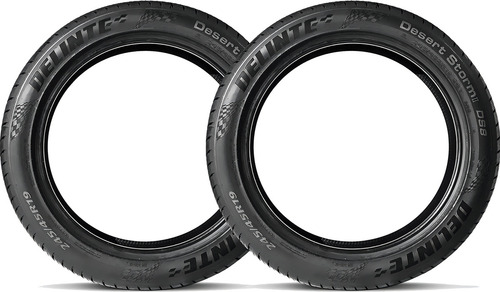 Kit de 2 pneus Delinte Desert Storm II DS8 285/35R22 106
