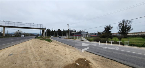 Imagen 3 de 29 de Industrial En Venta En Casablanca
