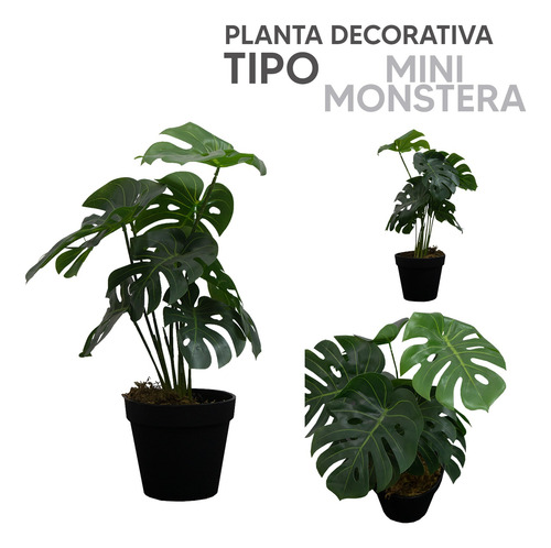 Kit 4 Plantas Artificiales Tipo Mini Monstera 35cm