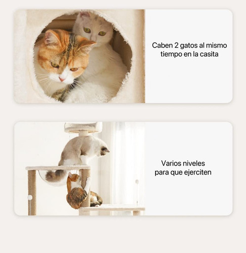 Rascador Para Gatos Árbol Torre Varios Niveles 170 Cm