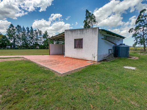 - Ref: 4268