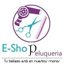 Secador De Pelo Profesional Wpro Blizzard 2800 Peluqueria
