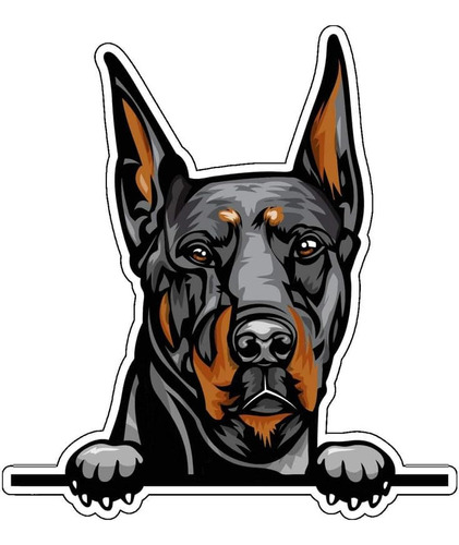 Breed Dog Doberman Vinyl Sticker Decal For Cars Bumper Truck