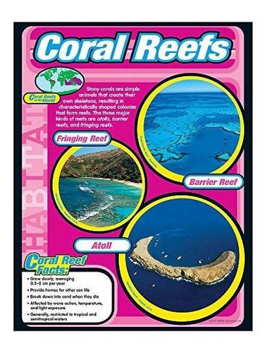 Juego Educativo De Cienci Trend Enterprises Inc Coral Reefs 