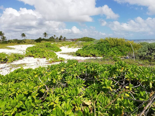 Imagen 15 de 16 de Oportunidad!! Terreno Frente Al Mar Mahahual-rio Indio P2699