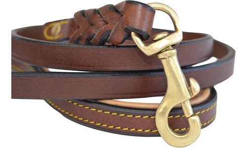   Leather Braided Dog Leash